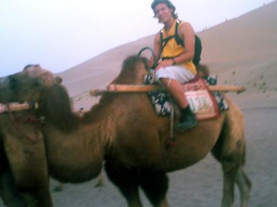 on a camel